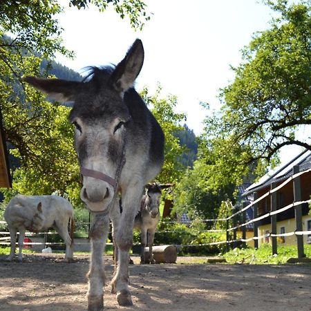 Ferienstadl - Hammerau Göstling an der Ybbs Extérieur photo