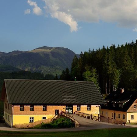 Ferienstadl - Hammerau Göstling an der Ybbs Extérieur photo