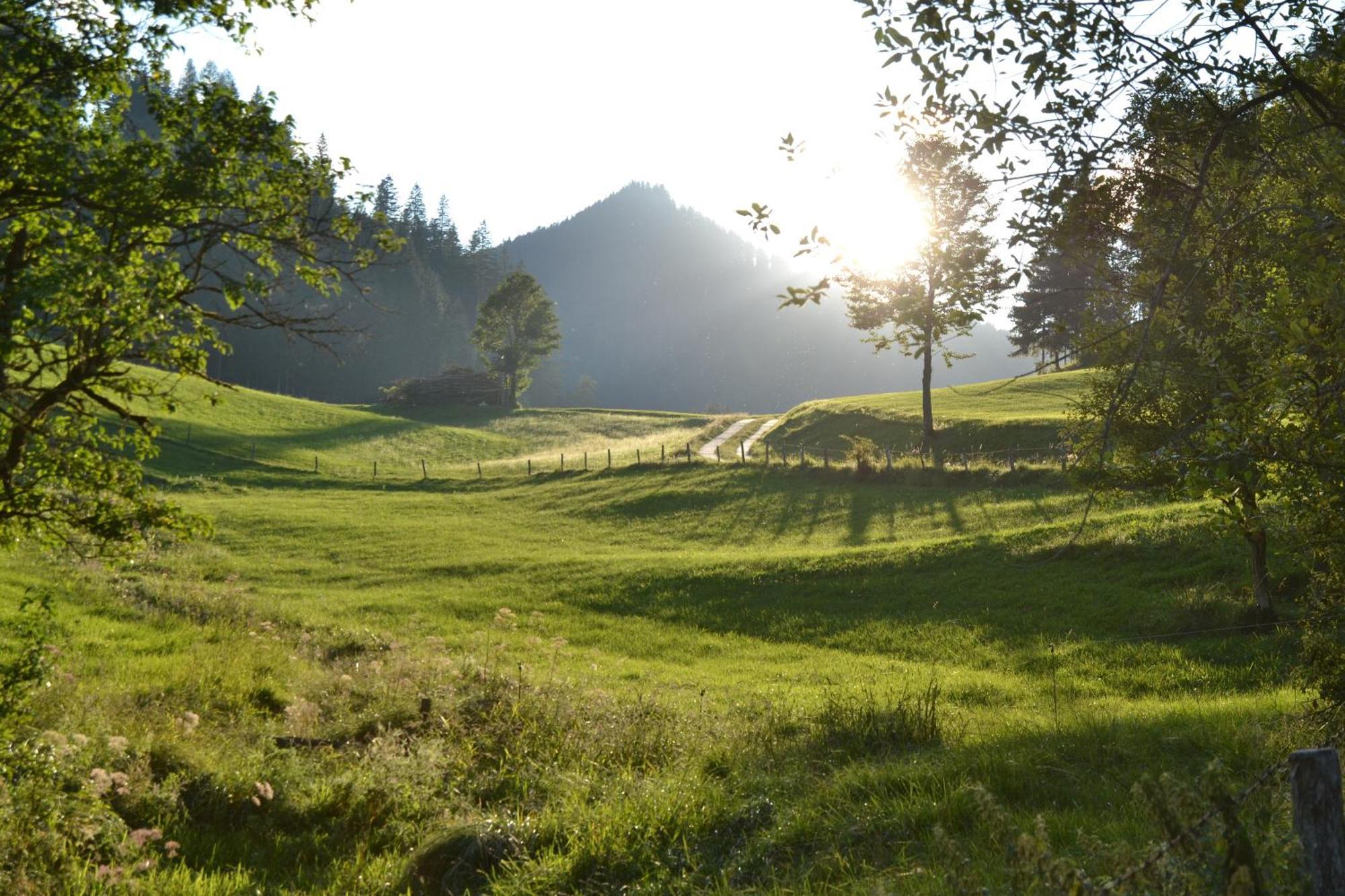 Ferienstadl - Hammerau Göstling an der Ybbs Extérieur photo