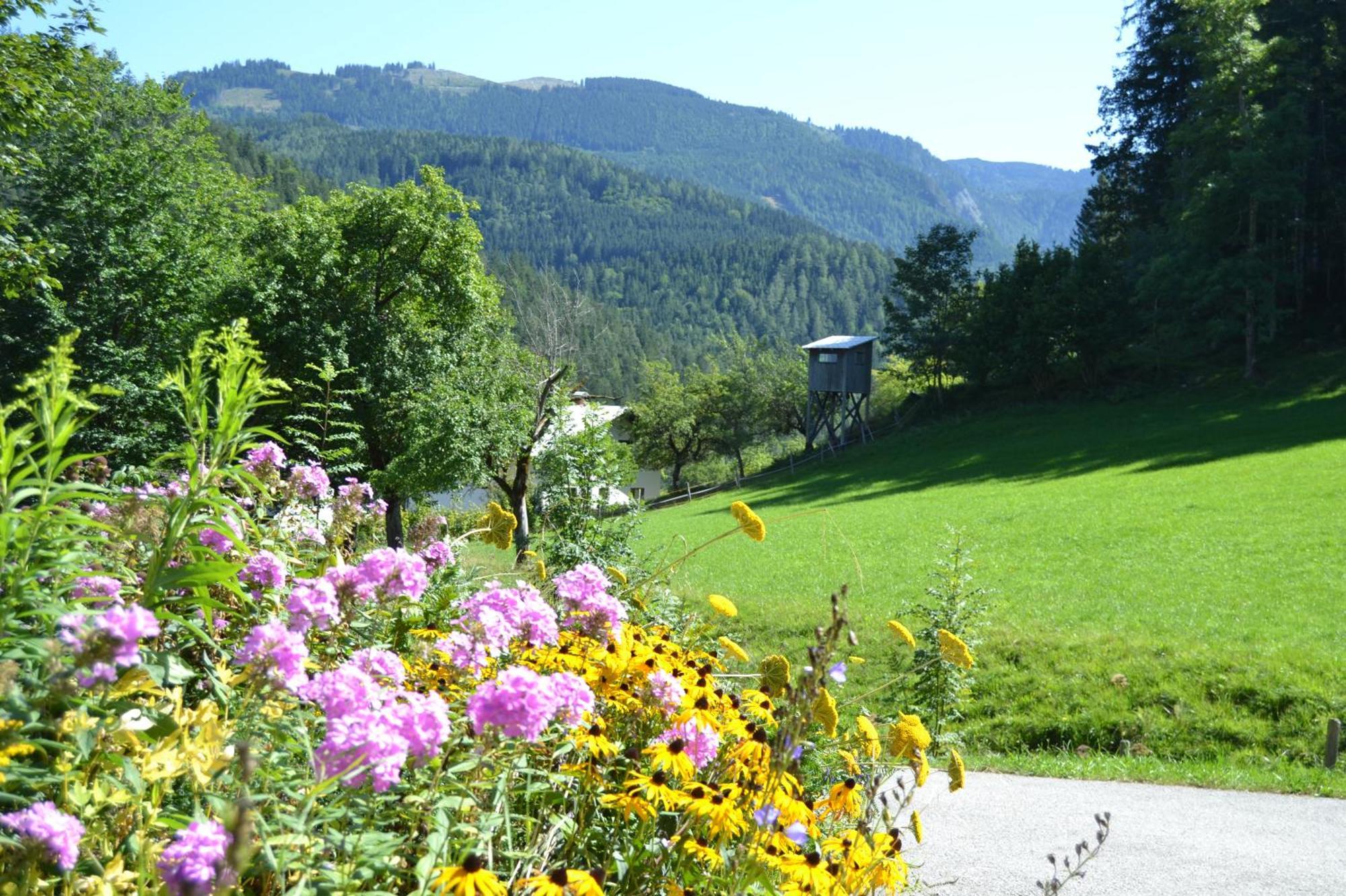 Ferienstadl - Hammerau Göstling an der Ybbs Extérieur photo