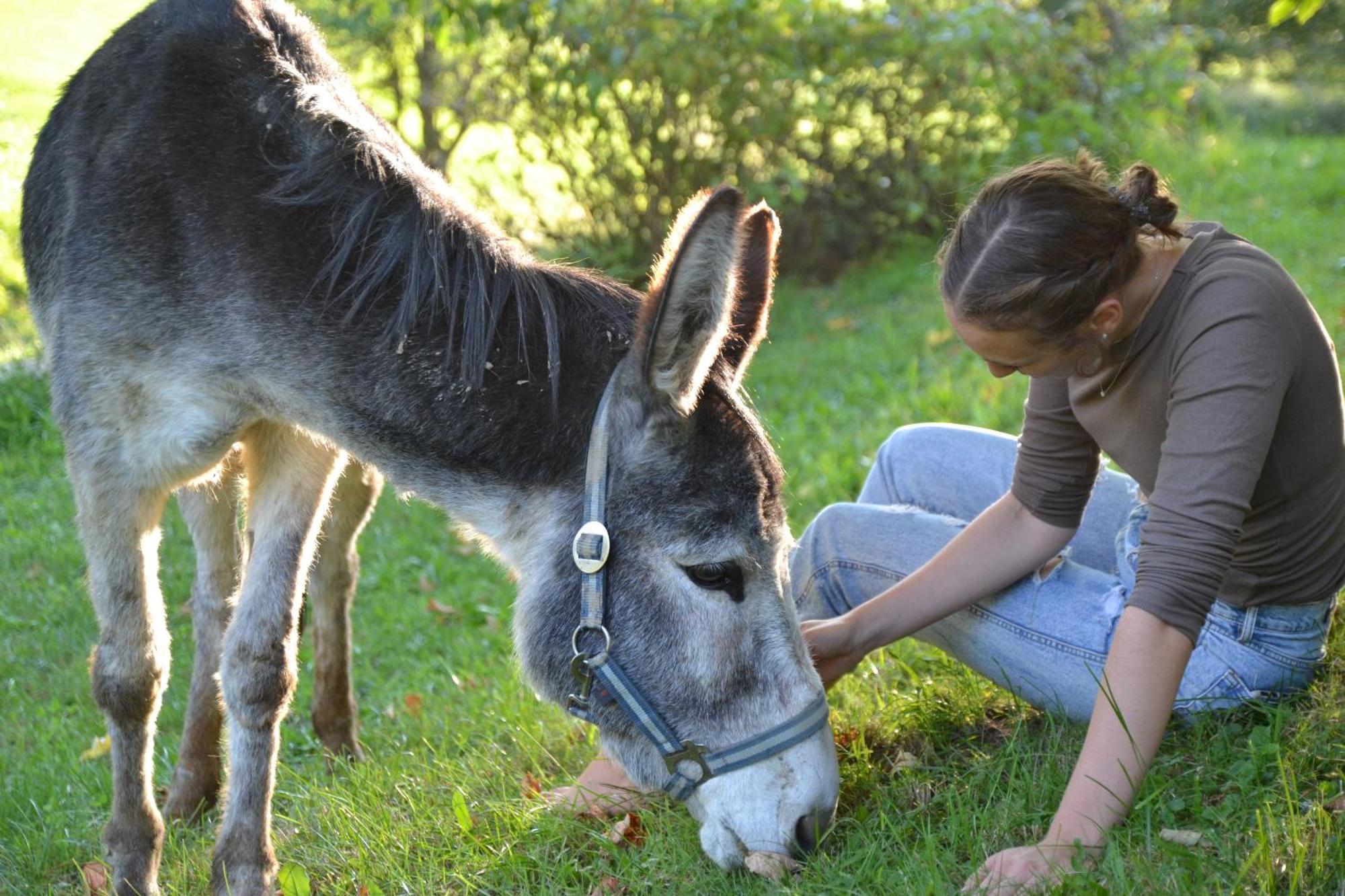 Ferienstadl - Hammerau Göstling an der Ybbs Extérieur photo